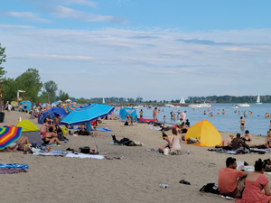 Ward's Island Beach