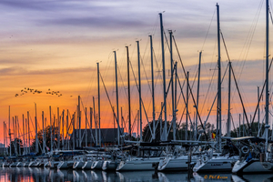 Woodbine Beach West Dock