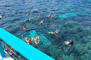 Tobago: tour in barca con fondo trasparente al Buccoo Reef Marine Park
