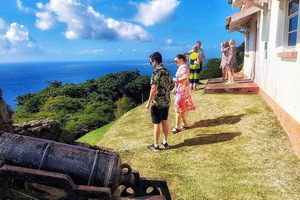 Tobago: Full Day Atlantic Coast Tour with Lunch