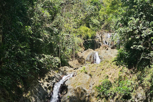 Tobago: Half Day Atlantic Coast Tour with Transfer