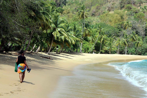 Tobago: Círculo Insular