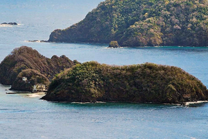 Tobago: Visita al Little Tobago Bird Sanctuary e tour in barca