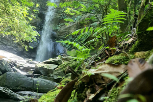 Trinidad: Avocat Waterfall and Maracas Bay Beach Tour