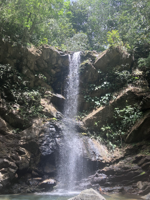 Avocat Waterfall