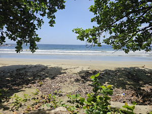 Bacolet Beach