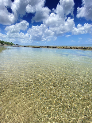 Black Rock Lagoon