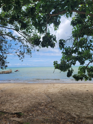 Clifton Hill Beach Facilities
