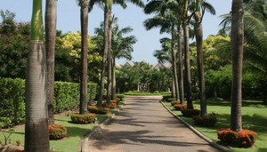 Coco Reef Resort