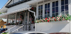 Dianne Tea Shop