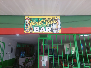 Forest View Bar