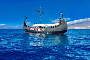 Los Cristianos: Viking Cruise Whales & Dolphins Watching