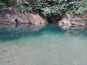 Mermaid Pool