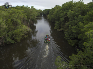 Nanan's Caroni Bird Sanctuary Tours