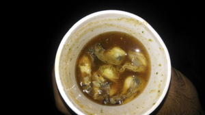Rome's Oysters