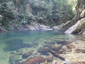 Three Pools