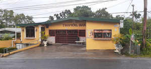 Tropical Bar
