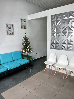 Zionic Bodywork & Wellness Services