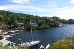 Western Trinidad