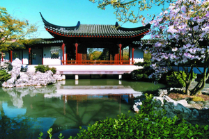4-Hour Private Tour of Vancouver's Gardens