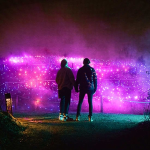 Astra Lumina at Stanley Park: An Enchanted Night Walk Amongst the Stars