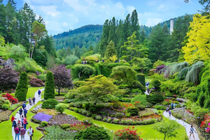 Day Trip from Vancouver to Victoria and Butchart Gardens
