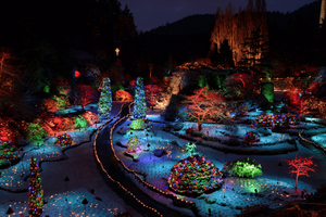 Vanuit Victoria & Butchart Gardens Kersttour