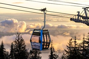 Grouse Mountain, Capilano Bridge & Fish Hatchery Tour