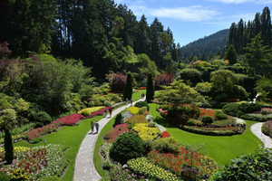 Premium Tour: Experience Victoria & Butchart Gardens