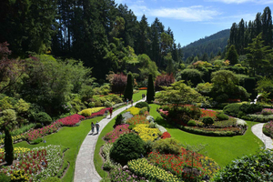 Premium Tour: Experience Victoria & Butchart Gardens