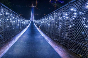 Vancouver: Attractions by Twilight Guided Tour with Dinner