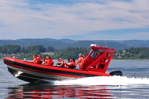Vancouver, BC: Whale Watching Tour Small Zodiac with Guide