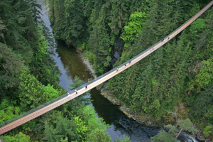 Vancouver: Capilano Bridge & Granville Island Highlights
