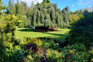 Vancouver Car Tour: See All City Attractions/Save Time&Money