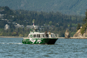 Vancouver: Catamaran Whale Watching Tour, Granville Island