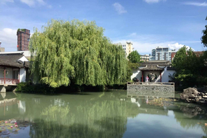 Vancouver: City Highlights and Fraser Valley Wine Tour