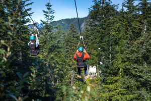 Vancouver: Grouse Mountain Express Tour with Skyride