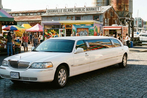 Vancouver: Private Limousine City Tour