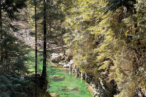 Vancouver: Rainforest Waterfall Hike and Suspension Bridge