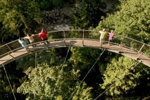 Vancouver: Small Group Tour w/Capilano & Grouse Mtn Lunch