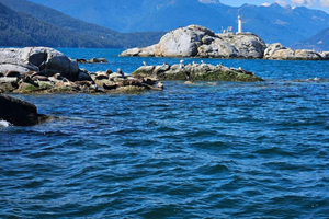 Vancouver: Snorkel, Kayak, and Seal Adventure Boat Tour
