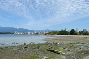 Vancouverin kävelykierros: Tutustu Kitsilanon rannikkoon