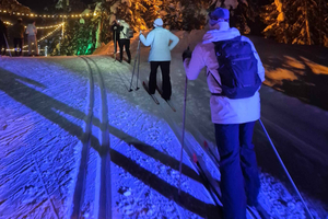 Vancouver: Whistler Olympic Park Evening Snowshoeing/Skiing