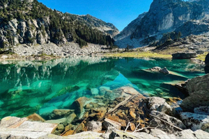 Watersprite Lake Guided Hike