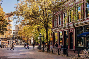 Visite touristique privée de 3 heures - Vancouver (pour YVR/Croisière)