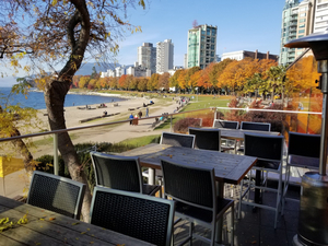 Cactus Club Cafe