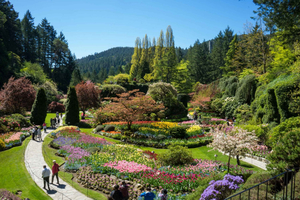 Von Vancouver aus: Butchart Gardens & Victoria Sightseeing Tour