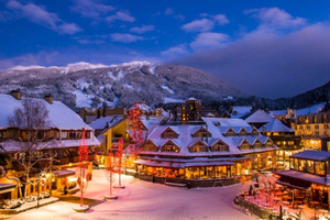 Von Vancouver aus: Whistler und Shannon Falls Privater Tagesausflug