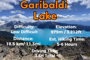Garibaldi Lake/ Vandring dagsudflugt