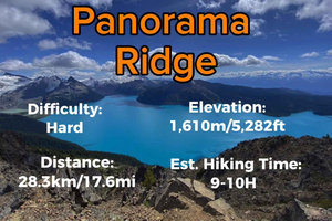 Garibaldi Park/ Panorama Ridge/ dagsudflugt til fods